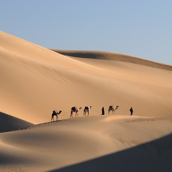 © Andrea Nuss - Abenteuer Sahara – 700 Km Auf Alten Karawanenwegen