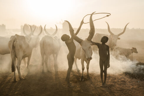 03 - © Markus Mauthe - Kinder Der Mundari Kümmern Sich Um Die Rinder Im Sudan